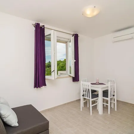 Apartments Villa Dadic Dubrovnik Room photo